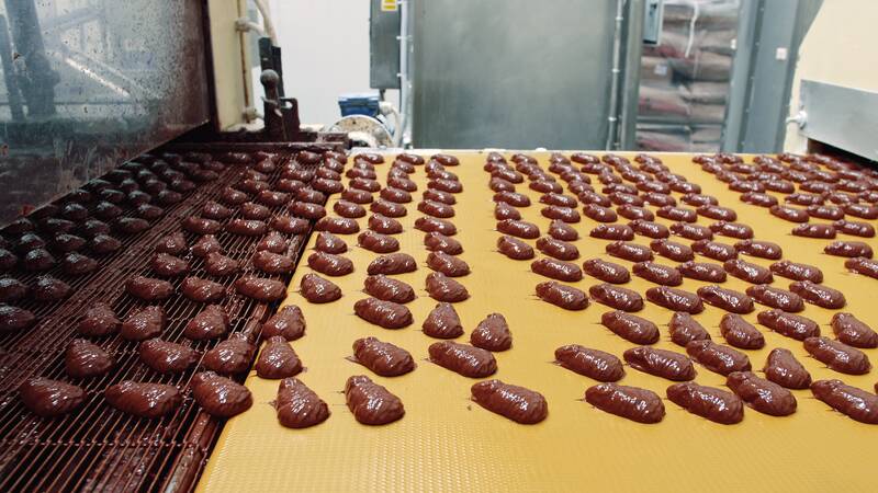 Biscuit/Cookie production