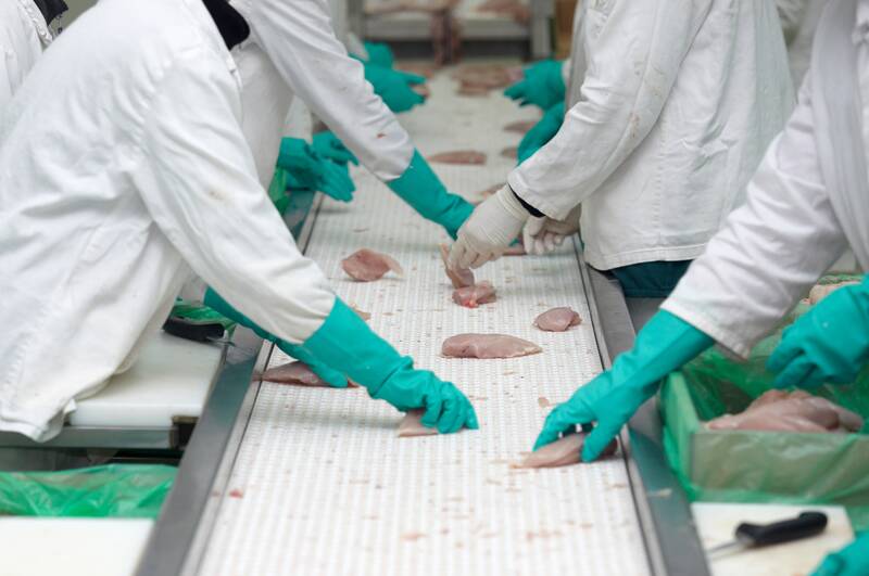 Biscuit/Cookie production